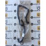 924104980R MASTER 3 III KALORIFER HORTUMU MAIS