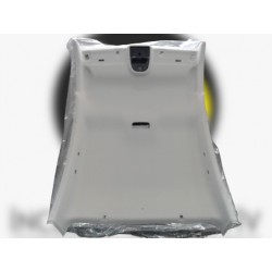 739101864R 739100140R FLUENCE TAVAN DOSEMESI MAIS