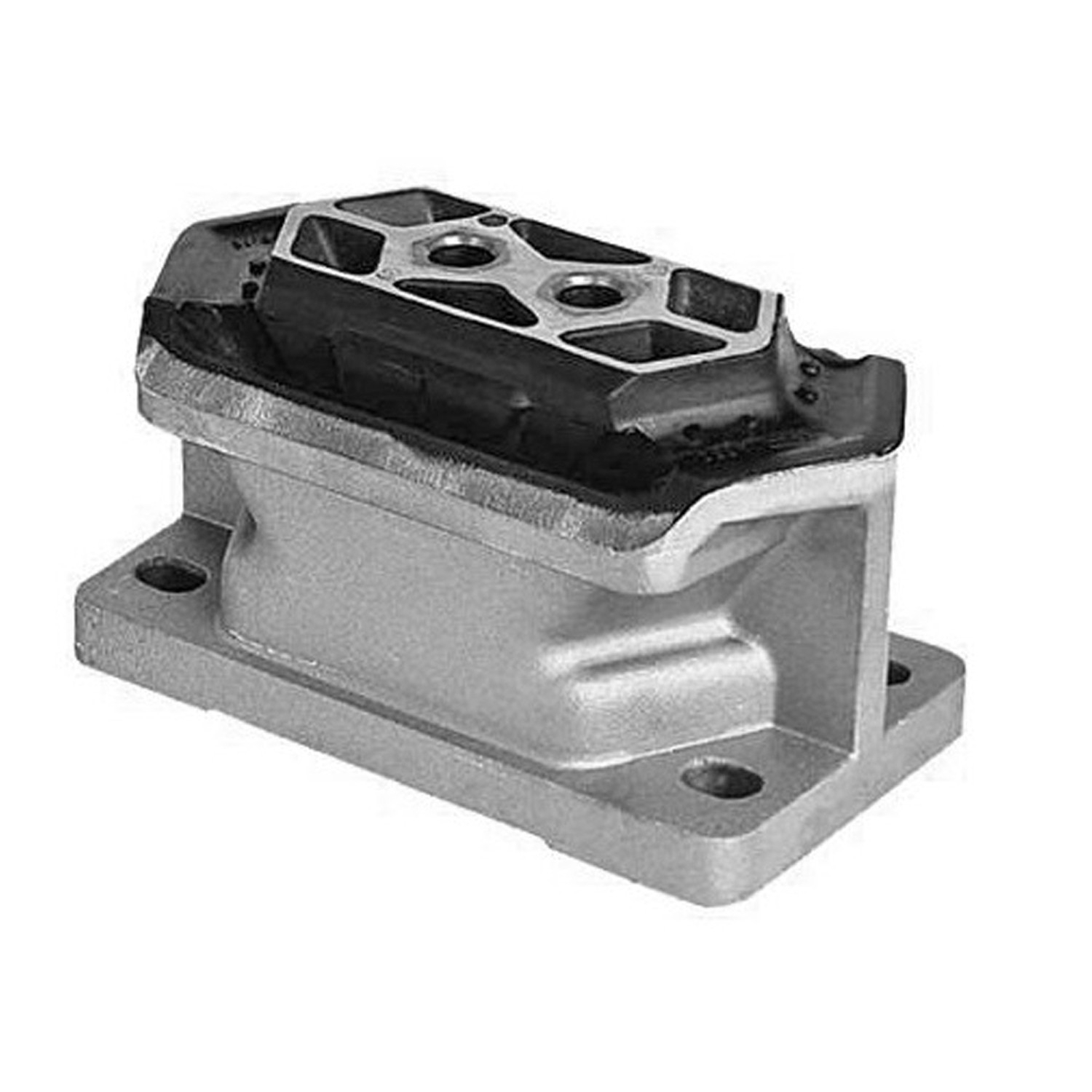 MAN MOTOR TAKOZU