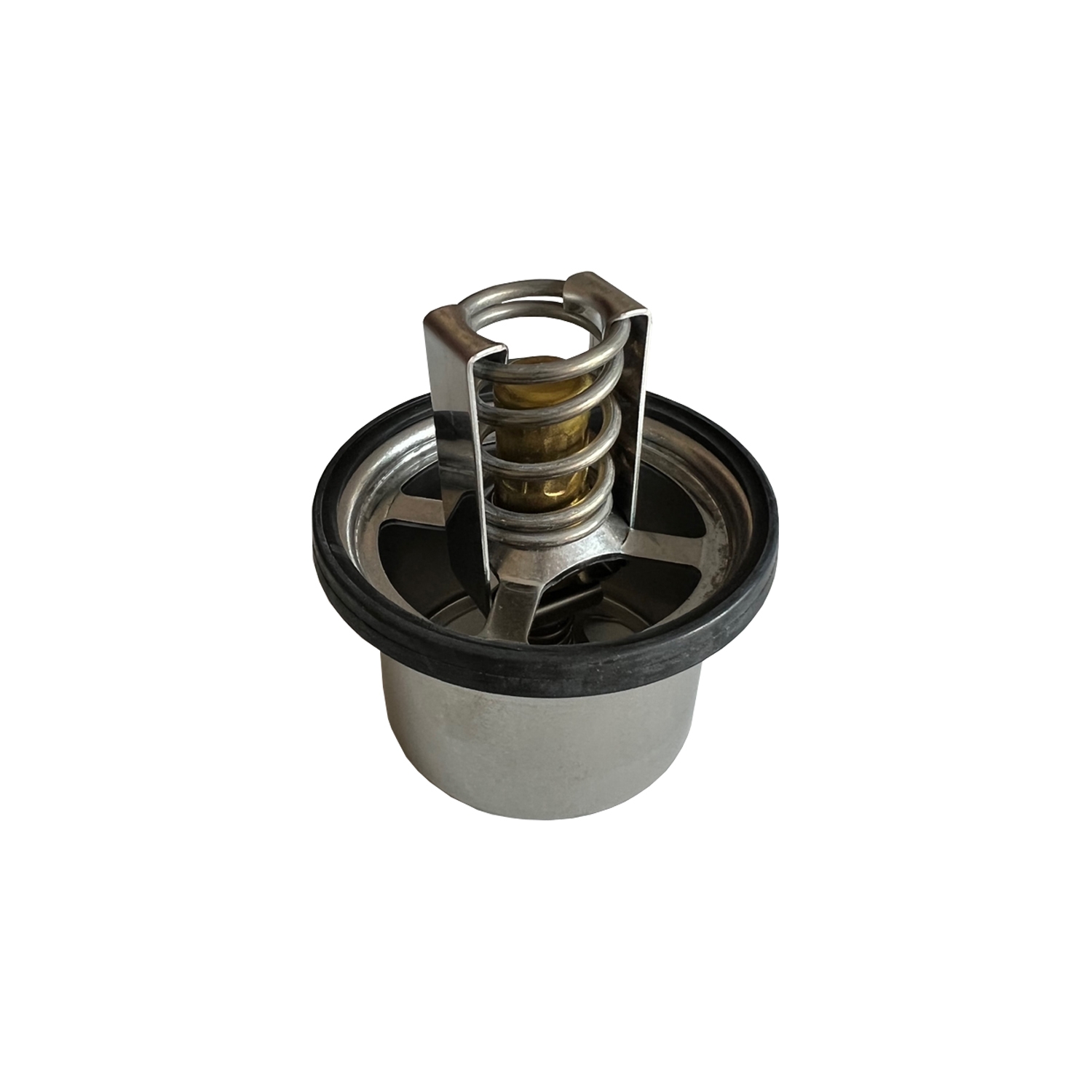 FORD CARGO 4142 TERMOSTAT